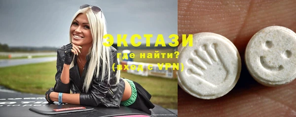 крисы Богородицк